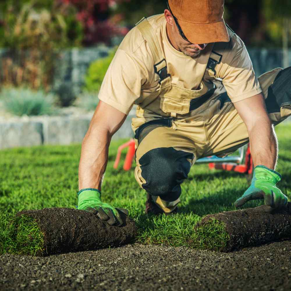 LAWN CARE website design OCALA, FL