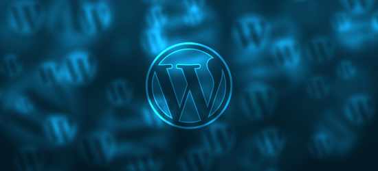 wordpress web design ocala, fl