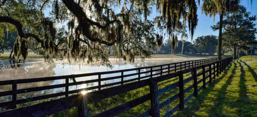 web designer ocala florida