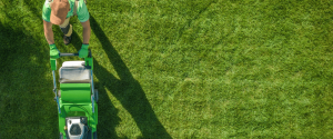 landscaping web design Ocala, Florida