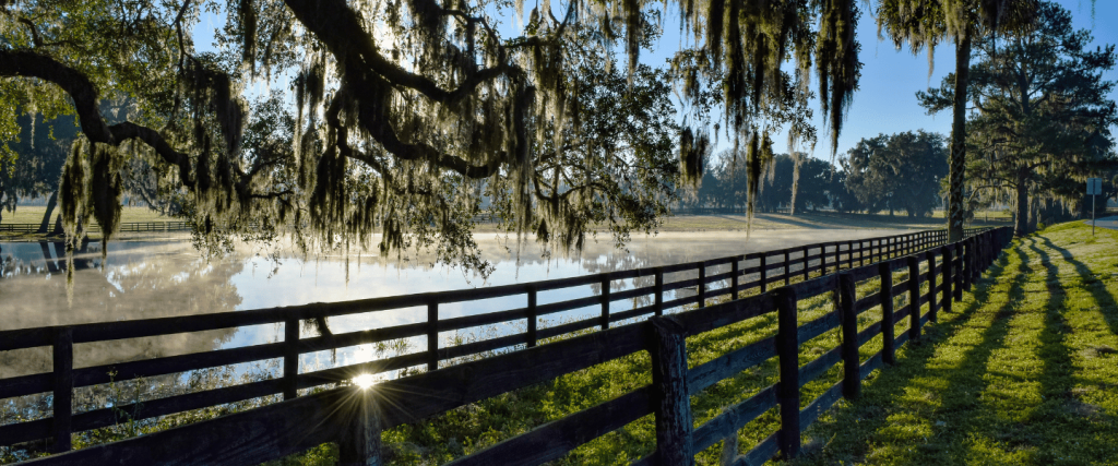 Web Designer Ocala Florida